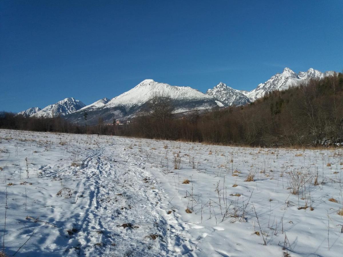 Отель Privat Tatry Dreams Нова-Лесна Экстерьер фото