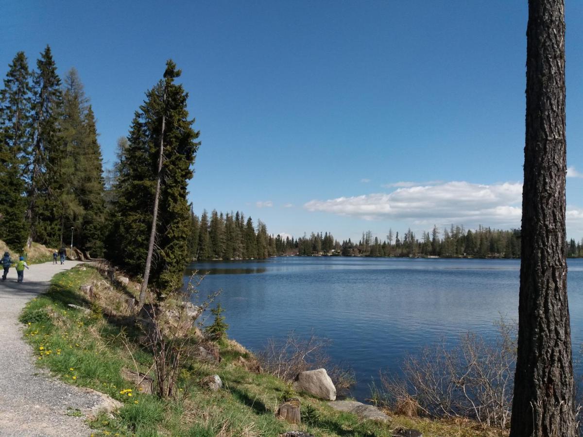 Отель Privat Tatry Dreams Нова-Лесна Экстерьер фото