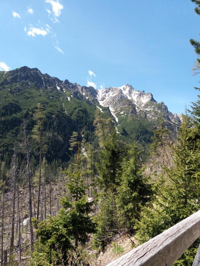 Отель Privat Tatry Dreams Нова-Лесна Экстерьер фото